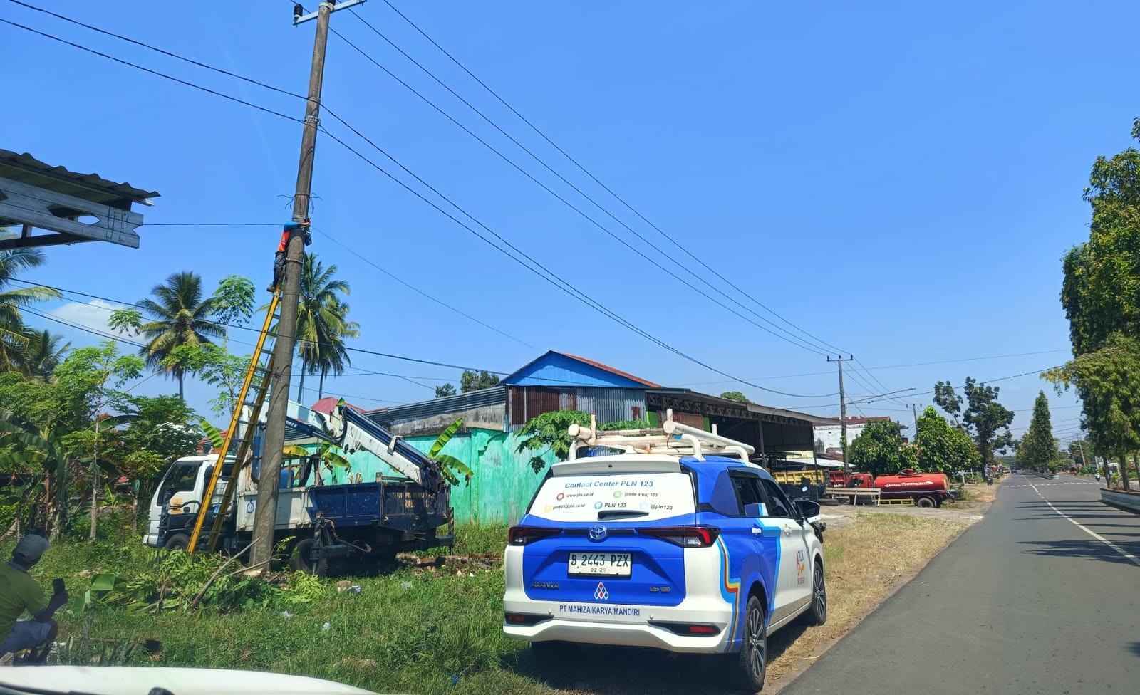 PLN Arga Makmur Lakukan Penebangan, Listrik di Bengkulu Utara Padam Total 