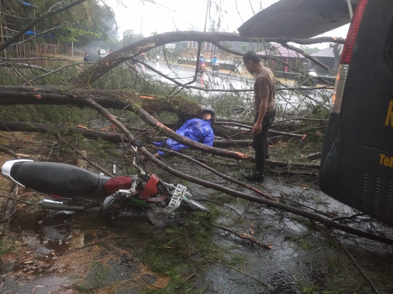 Beredar Info, Warga Pagar Dewa Tertimpa Pohon di Pantai Panjang