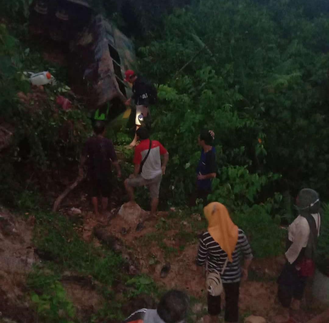 Molek Masuk Jurang, Penumpang Tersangkut Pohon