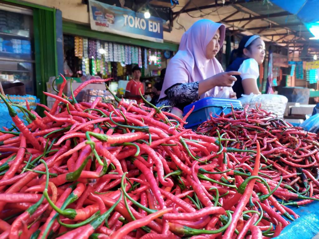 Harga Cabai di Bengkulu Utara Capai Rp120.000 per Kilogram, Ibu Rumah Tangga Resah