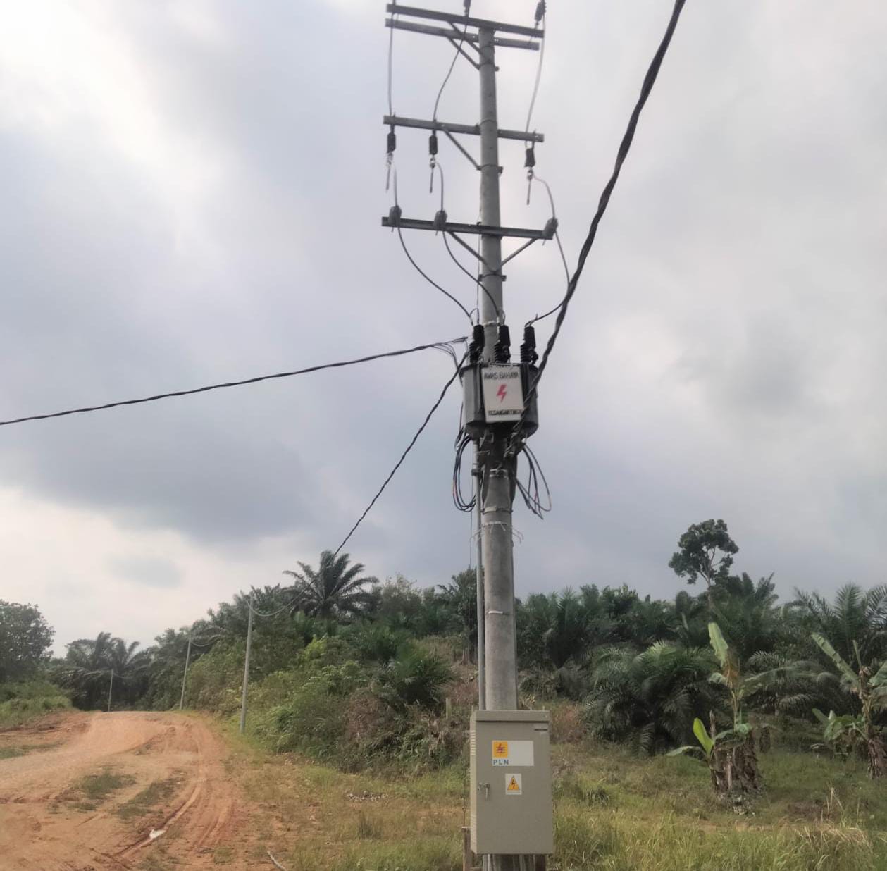 PLN Diminta Remajakan Ulang Tiang Listrik di Ulok Kupai-Napal Putih, Mulyadi: Jaringan Listrik Sudah Tak Layak