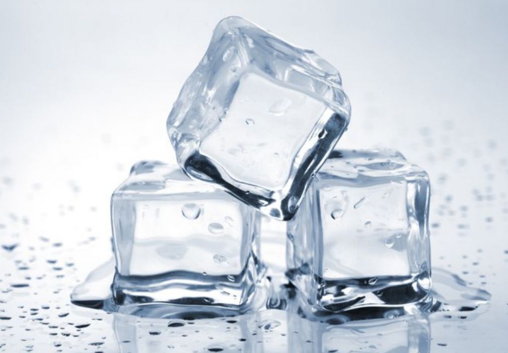 5 Pilihan Obat Alami yang Ampuh Mengobati Gigitan Serangga