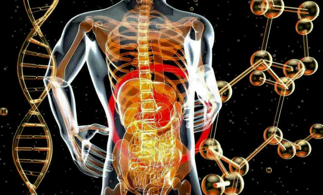 7 Pertanyaan Konyol Tentang Manusia yang Menambah Wawasanmu