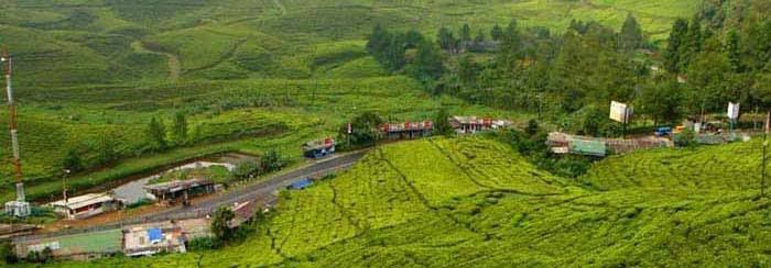 Pria Mari Rapatkan Barisan, Ternyata di Kampung Cisampay Ada Gadis Rasa Janda