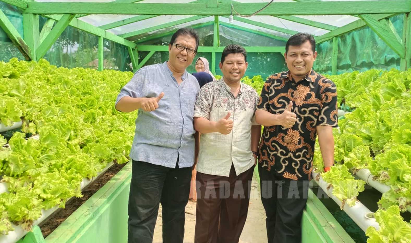 Berkebun Hidroponik, Warga Tanjung Dalam Raup Cuan Jutaan Rupiah