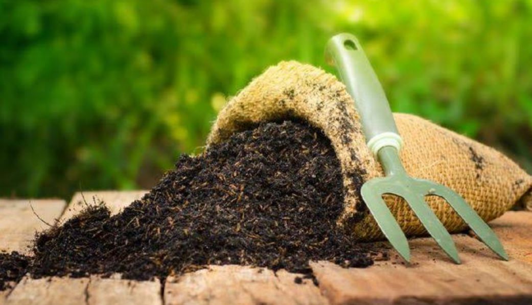 Mengenal 10 Jenis Pupuk Alami yang Baik untuk Suburkan Tanaman 