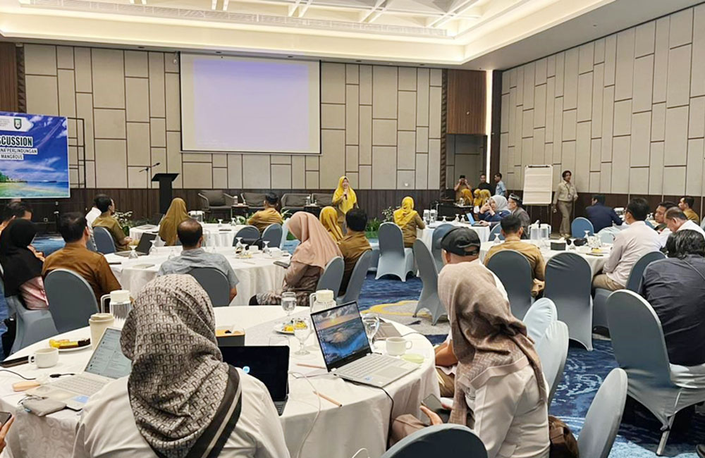 Hutan Mangrove Kian Kritis, Dokumen RPPM Mulai Disusun