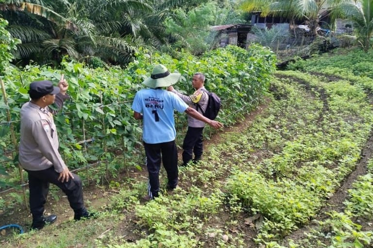 Bhabinkamtibmas Polsek Ketahun Diterjunkan Langsung ke Rumah Warga untuk Dampingi Program Ketahanan Pangan