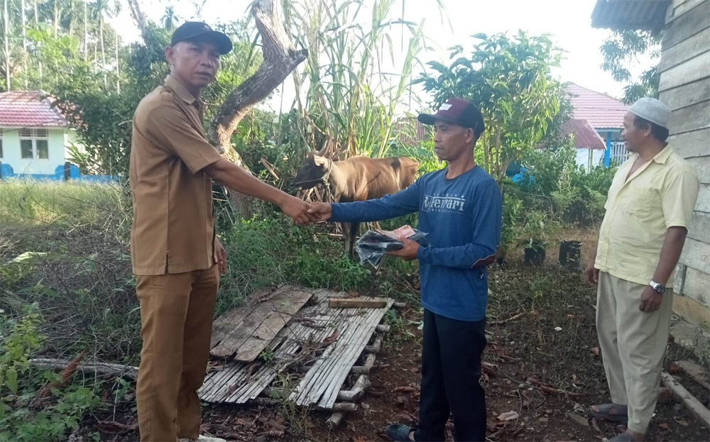 Warga Air Putih Dapat Sapi Kurban dari Perusahaan Batu Bara