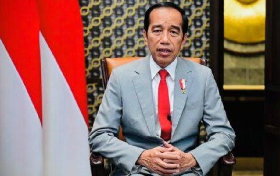 Tegas, Presiden Jokowi Bakal Turunkan BPK dan BPKP untuk Audit  Dana Desa 