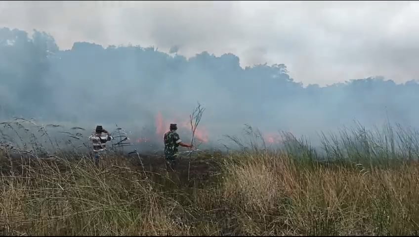 Lahan Gambut Desa Banjarsari Kecamatan Enggano Terbakar, Lokasi Sulit Diakses