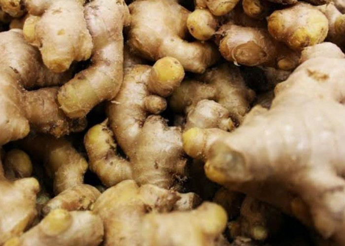 Resep Paling Mudah untuk Membuat Susu Jahe yang Pedasnya Nampol