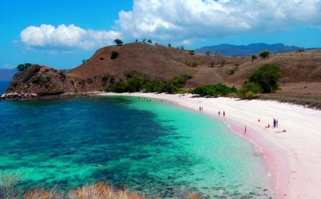 Cocok Dikunjungi Saat Libur Lebaran, Pantai Pink Bisa Berikan Sensasi Healing yang Berbeda