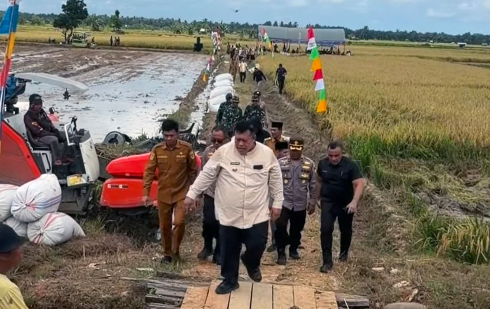 Pemkab Mukomuko Gaspol Perkuat Lumbung Pangan Daerah