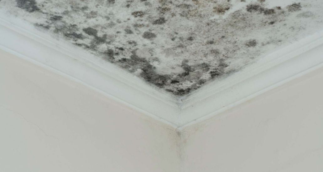 Jangan Lakukan 4 Hal Ini agar Rumah Tidak Bau Apek