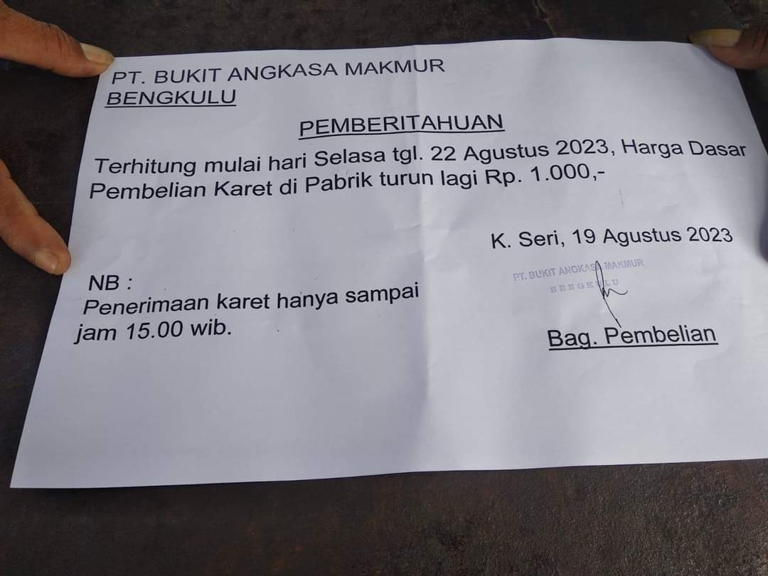 Update Harga Karet di Bengkulu 19 Agustus 2023, Turun Rp1.000, Ekonomi Petani Makin Sulit