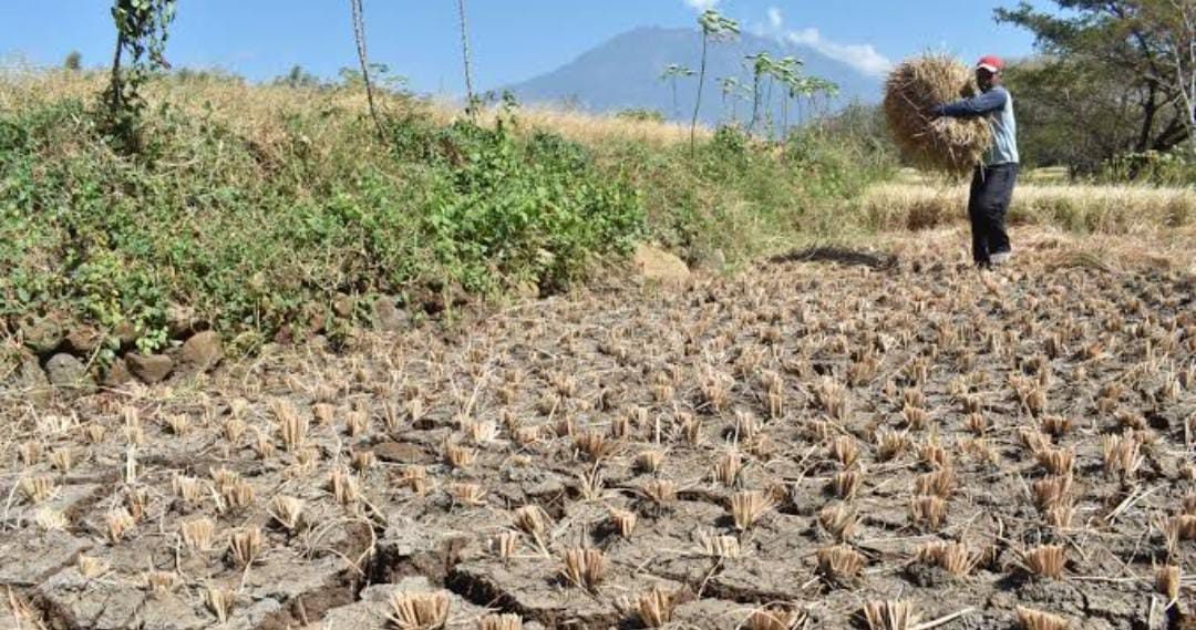 Waspada, Beberapa Daerah Ini Terancam Akan Alami Panas Mendidih, Adakah Daerahmu?