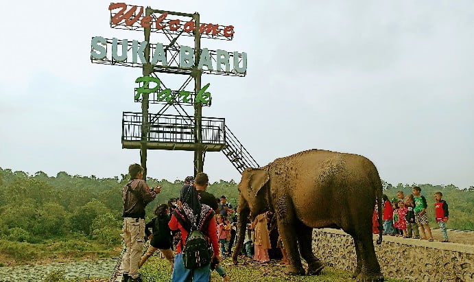 Yukk Wisata ke PLG, Berbagai Wahana Permainan ini Akan Manjakan Liburan Kamu Bersama Keluarga