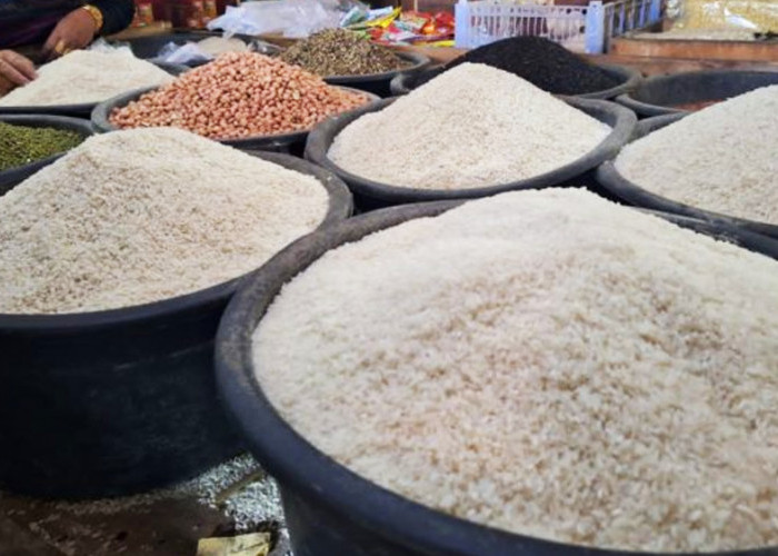 Harus Jeli dari Sekarang untuk Memilih Beras Sesuai dengan Jenisnya