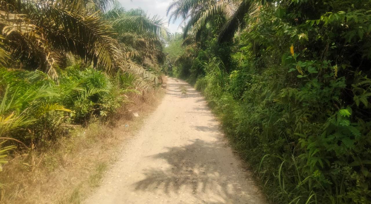 Pemdes Napal Putih Tagih Janji Perbaikan Jalan Lingkungan Desa yang Dirusak oleh Aktivitas Proyek Dinas PU