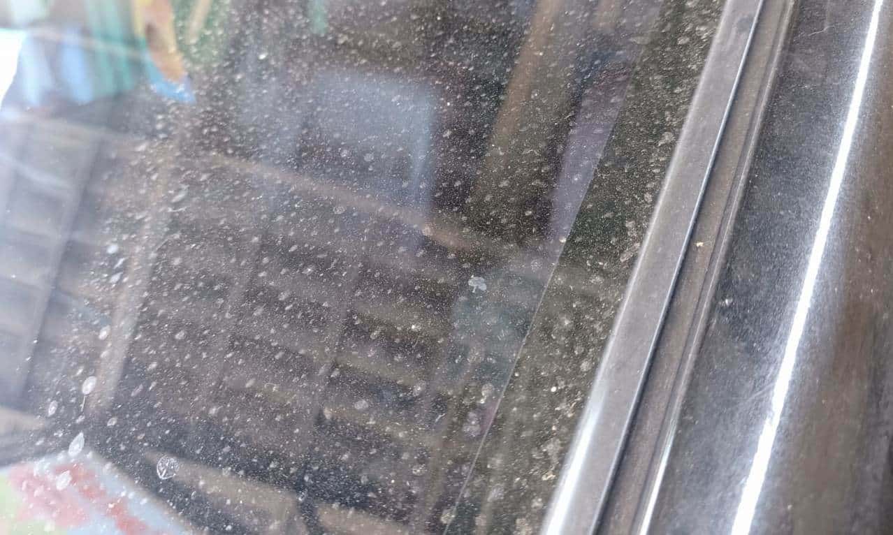 Dengan Peralatan Mandi, Kamu Bisa Membersihkan Jamur Kaca yang Bisa Mengganggu Pemandangan