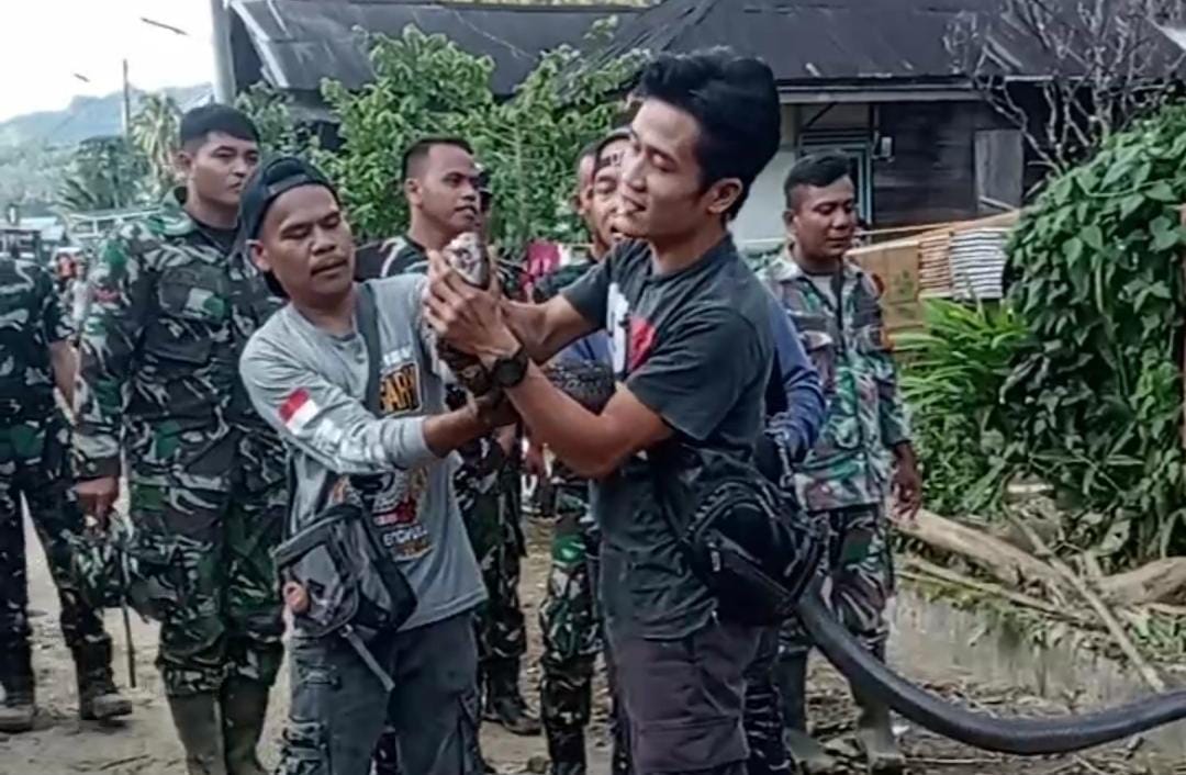 Pasca Banjir Bandang di Lebong, King Cobra Raksasa Ditangkap Warga di Lokasi Rumah Warga