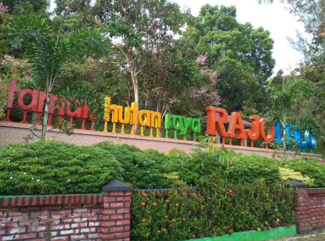 Taman Hutan Raya Rajo Lelo Kembali Ramai Dikunjungi Usai Viral di Tiktok