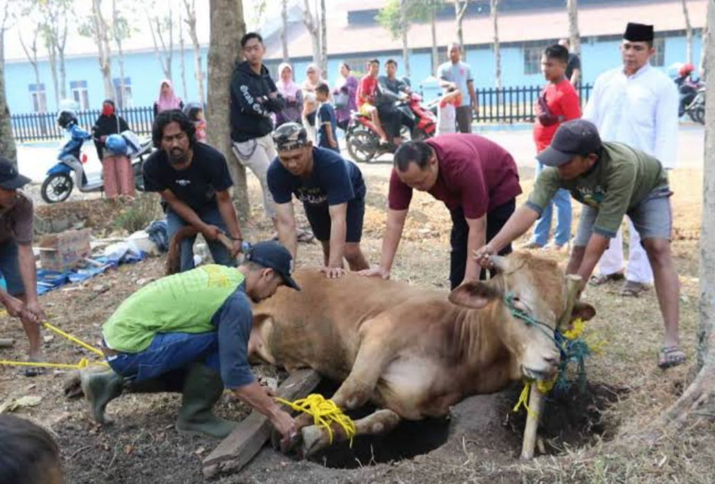 Ketahui Adab dan Bacaan Doa Menyembelih Hewan Kurban