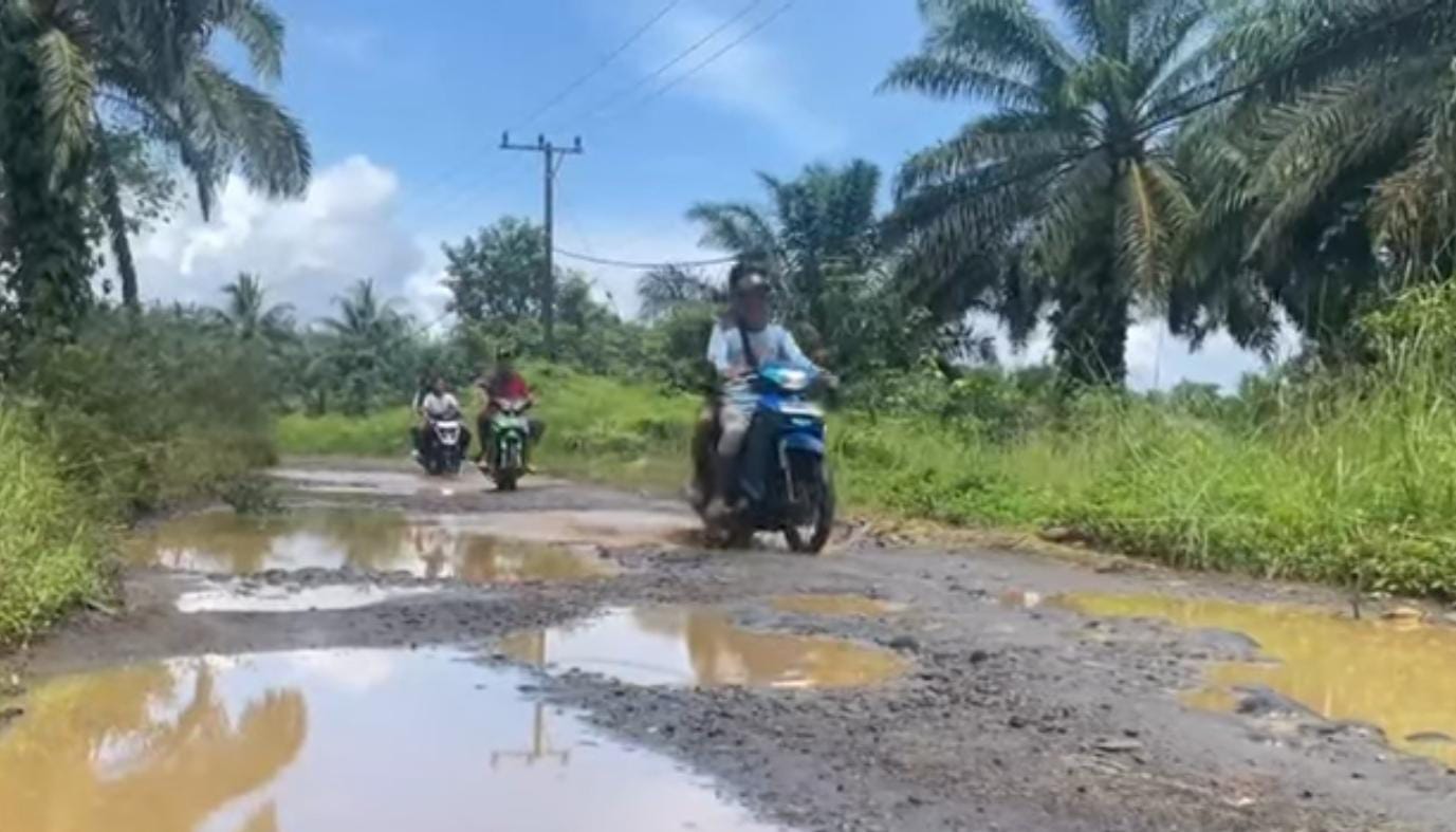 Puluhan Tahun Tak Diperbaiki, Jalan Desa Talang Tua-Arga Mulya Kian Memprihatinkan 