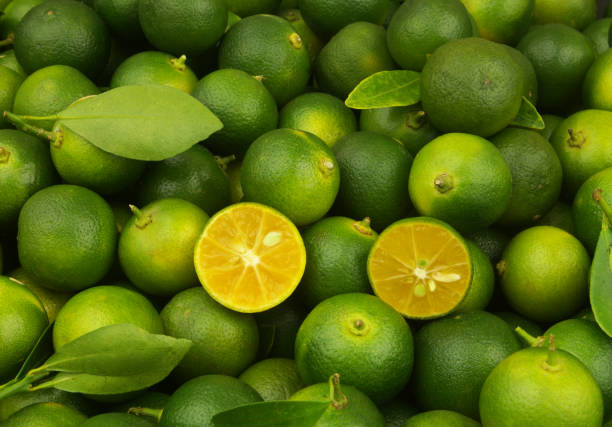 Jadi Salah Satu Oleh-oleh Khas Bengkulu, Ini Cara Membuat Sirup Jeruk Kalamansi