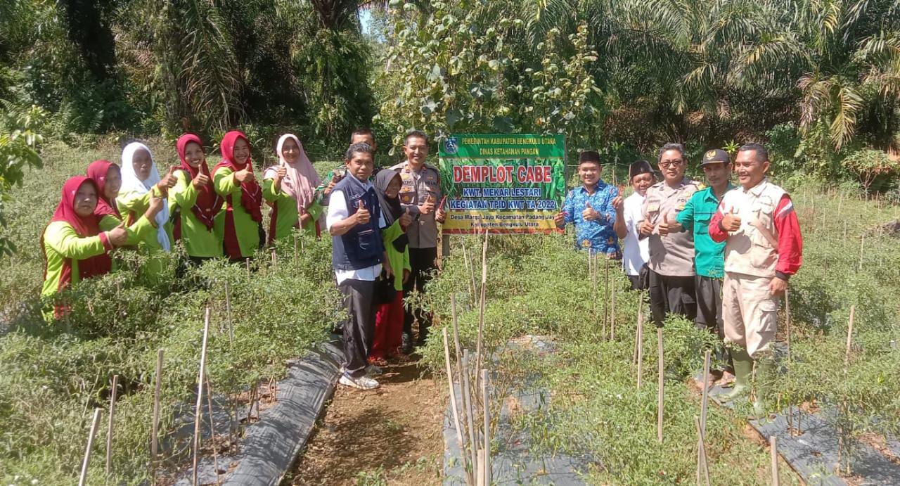 Sukseskan Ketahanan Pangan, Pemdes Marga Jaya Gelar Bimtek Bawang Merah dan Penyuluhan Kesehatan Masyarakat 