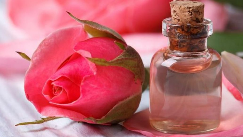 Tak Perlu Beli, Ini Cara Membuat Air Mawar Sendiri di Rumah