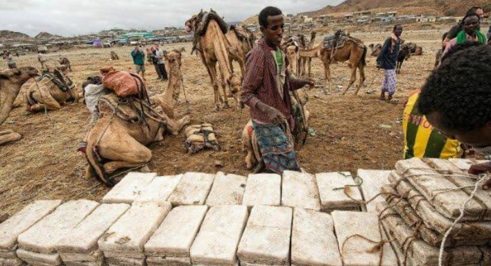 Suku Afar, Penambang Garam Afrika yang Tinggal di Tanah Kematian, Begini Fakta Uniknya