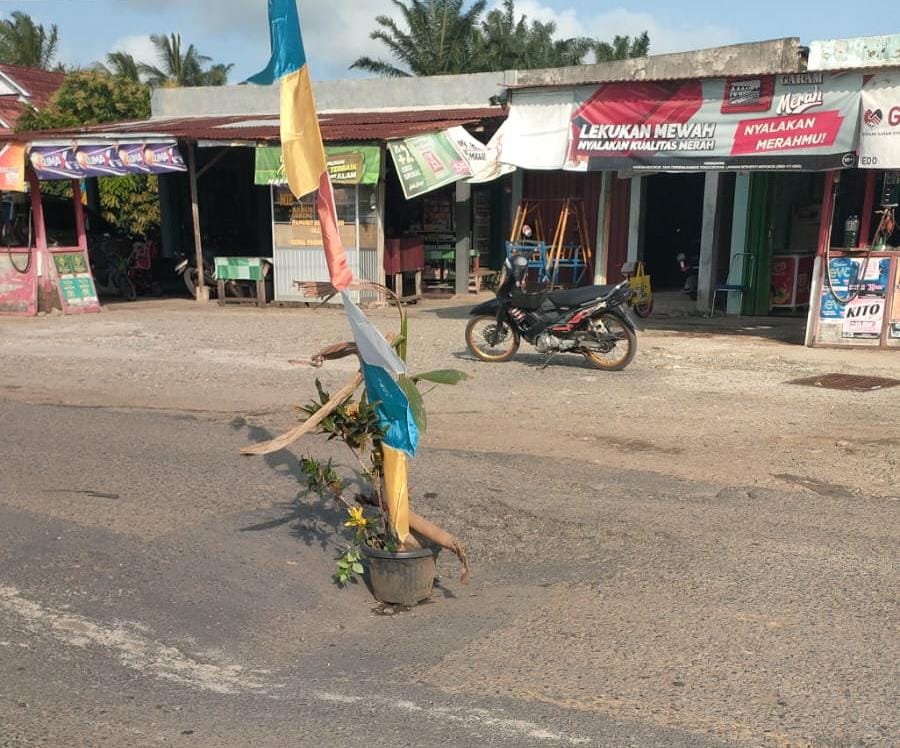 Warga Kota Bani Tanami Jalinbar Putri Hijau dengan Pot Bunga, Ini Alasannya