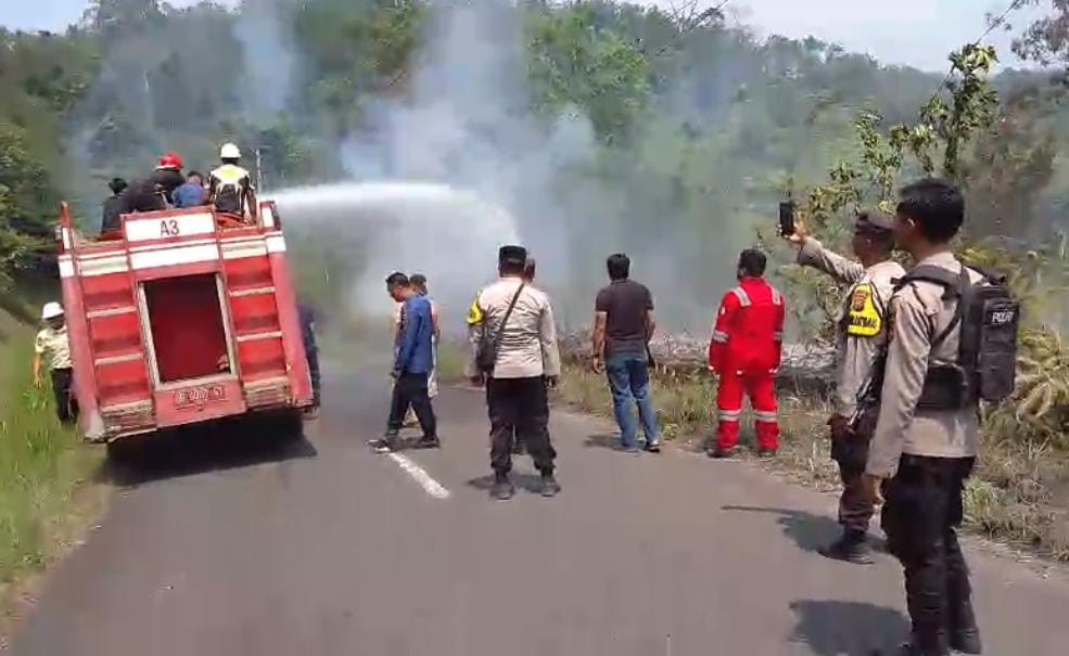 Diduga Buka Lahan Baru, HL Bukit Daun Terbakar