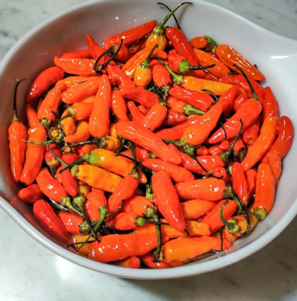 Bikin Bibir Dower, Ini 5 Jenis Cabai Paling Pedas di Indonesia 