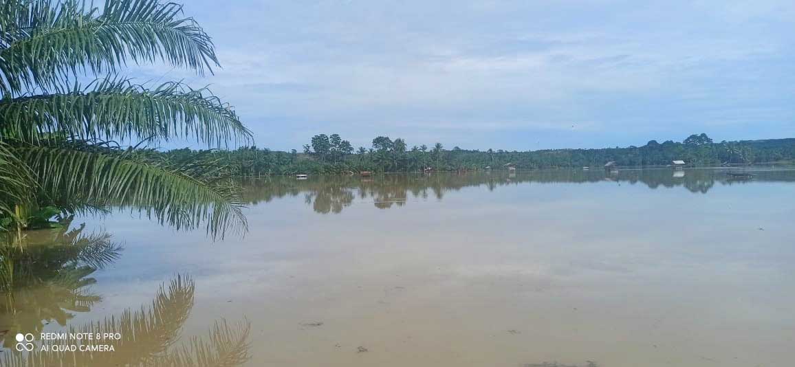 PPL Mulai Data Sawah Terdampak Banjir di Pinang Raya