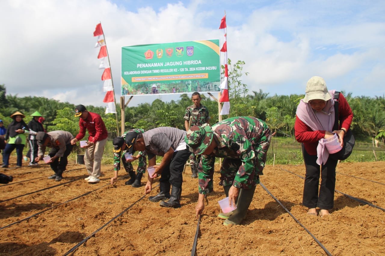 Libatkan Pemerintah dan Masyarakat, Satgas TMMD Kodim Bengkulu Utara Tanam Jagung 