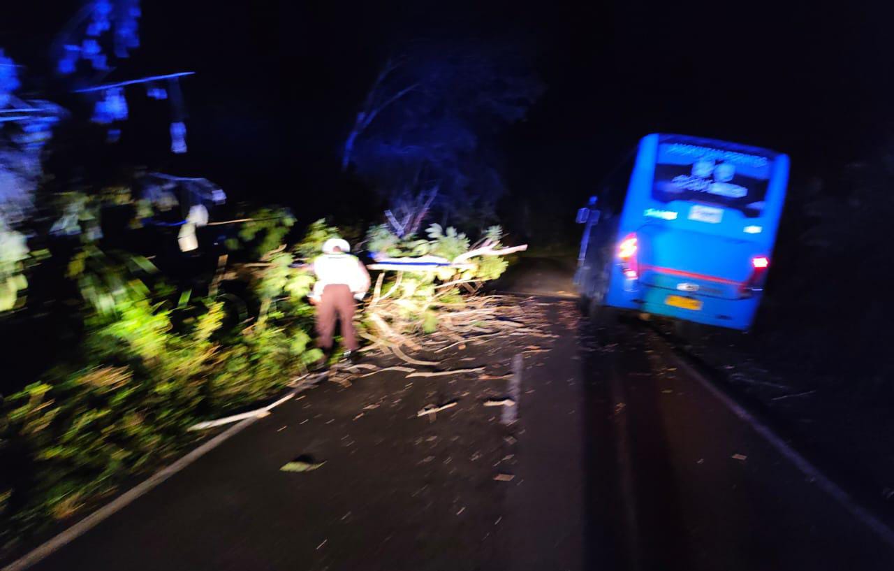 Polisi Bersihkan Pohon Tumbang di Desa Gardu yang Sempat Sendat Arus Lalulintas