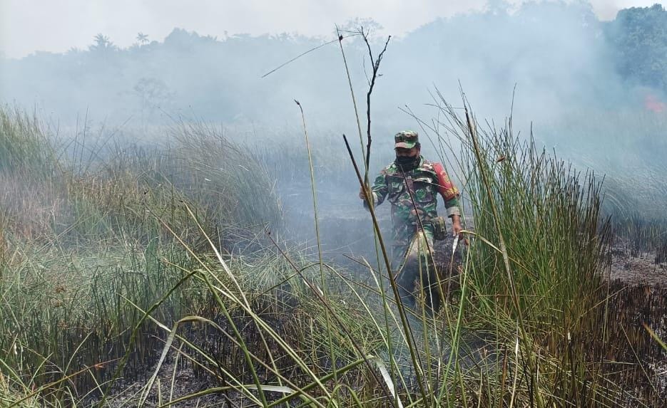 Kebakaran Lahan di Pulau Enggano, Ini Penjelasan Dandim 0423 Bengkulu Utara 