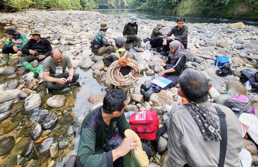 Pantau Pegerakan Gajah Sumatera, BKSDA Bengkulu-Lampung Pasang GPS Collar