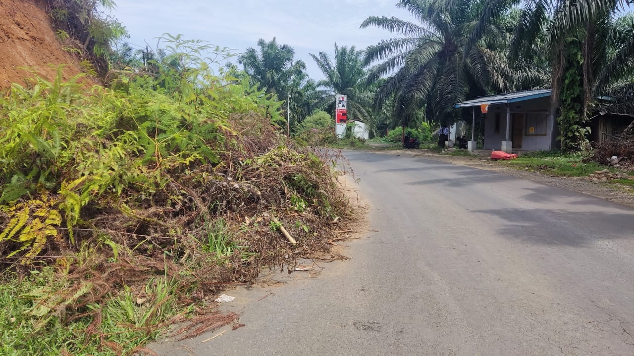 Jika ke Bengkulu Utara, Presiden Bakal Melihat Pemandangan yang Seperti Ini