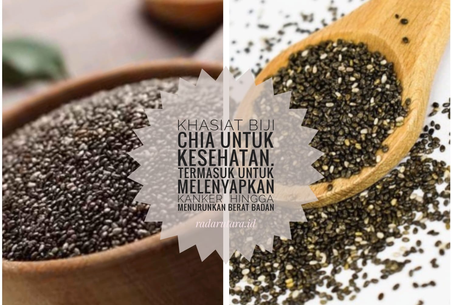 Khasiat Biji Chia untuk Kesehatan, Termasuk untuk Melenyapkan Kanker  Hingga Menurunkan Berat Badan