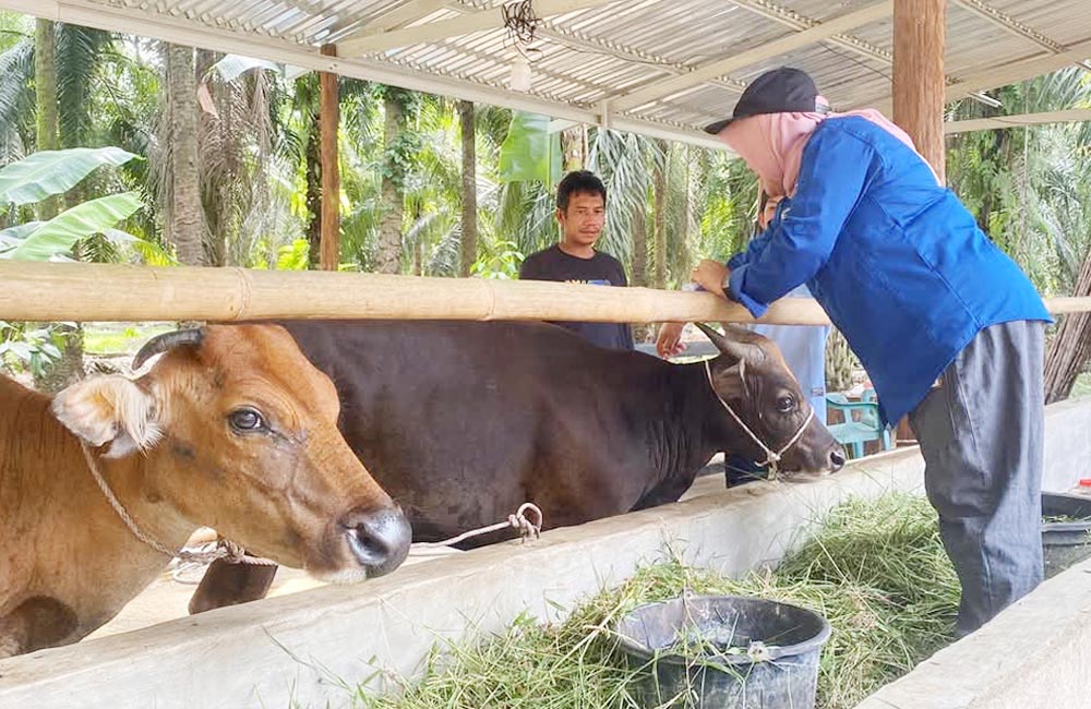 Warga Diimbau Libatkan Petugas Kesehatan Sebelum Membeli Hewan Kurban