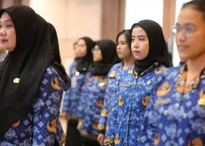 Tenaga Non -ASN Terancam Batal Terima SK PPPK Paruh Waktu, Jika Lakukan ini!