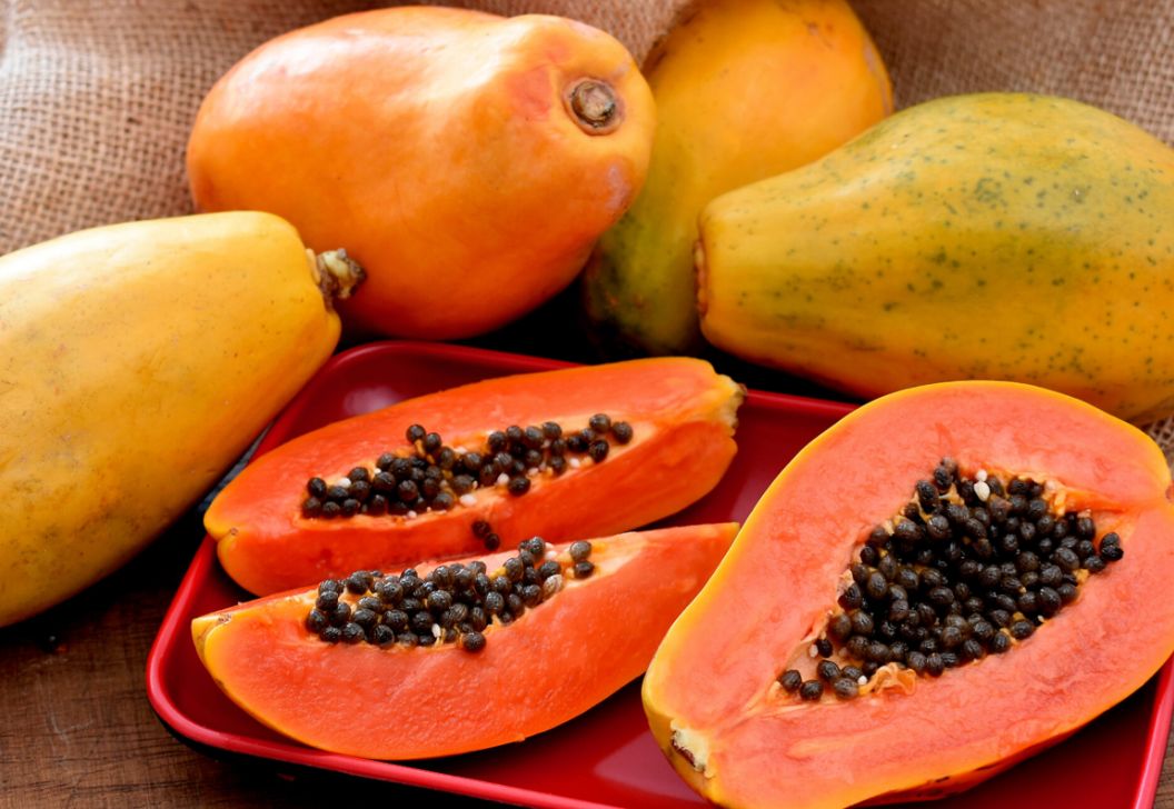 Jarang Diketahui, Ini Manfaat Biji Pepaya untuk Kesehatan