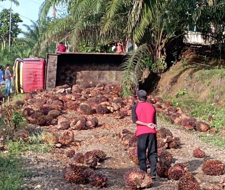 3 Tahun Lebih Rusak Parah, Gubernur dan DPRD Diminta Serius Tangani Jalan Provinsi dari Tanjung Alai-Jabi