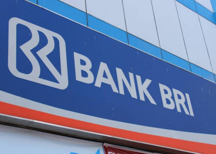 Langkah Akseleratif Transformasi BRI Tuai Dukungan Komisi XI DPR RI
