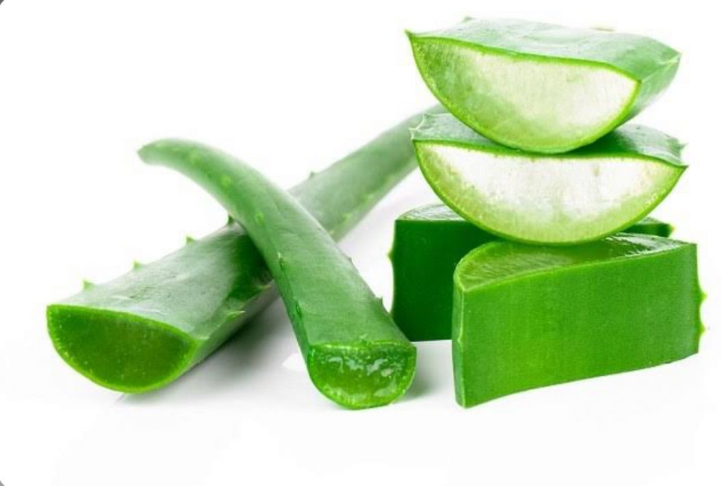 Terbukti Ampuh,5 Jenis Daun Ini Bisa Atasi Gatal pada Kulit