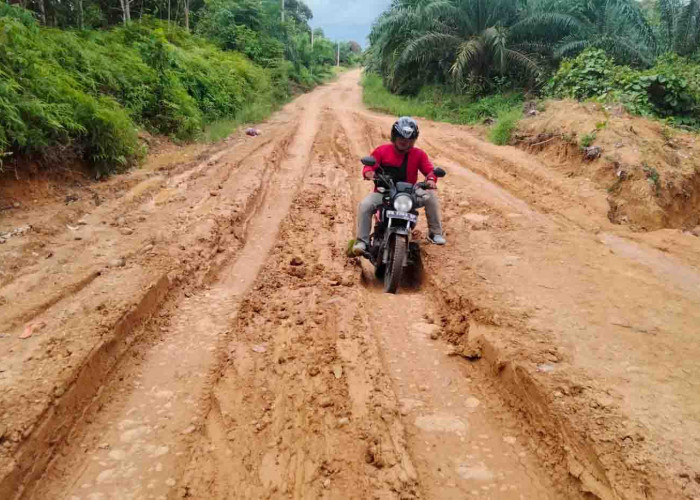 Soal Jalan Berlumpur Menuju Fasilitas Pendidikan di Desa Gembung Raya, Ini Kata Camat